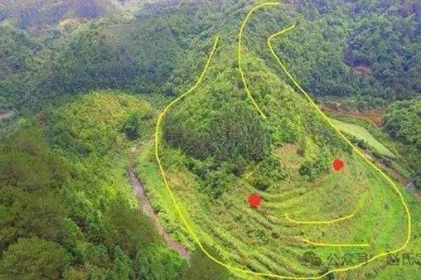 最发人丁的坟地风水