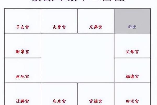 紫薇斗数看胖瘦 紫薇斗数看胖瘦