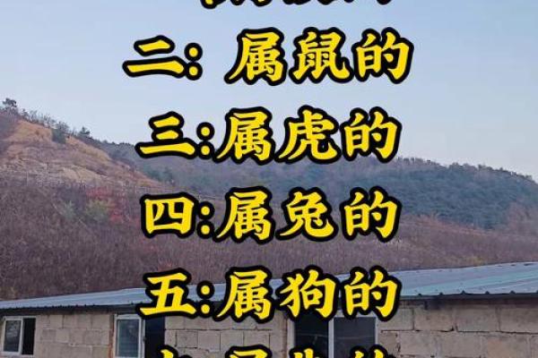 属虎和属鼠的八字合吗