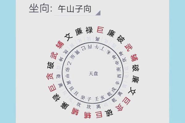 丙山壬向兼午子风水 丙山壬向兼午子风水