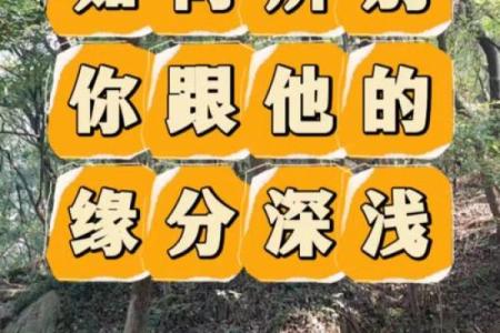 免费配对测试两人关系缘分