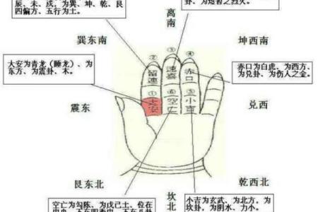 算命手掌,小六壬怎样算生辰八字