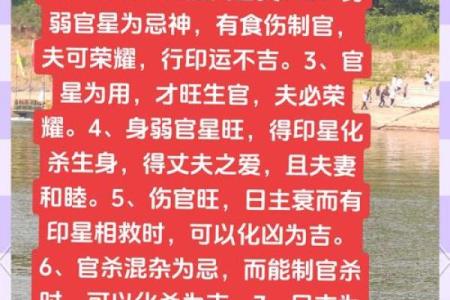 适合从政的八字特点