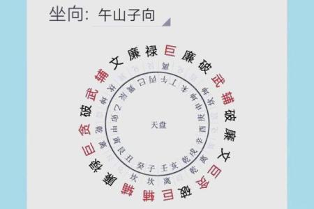 丙山壬向兼午子风水