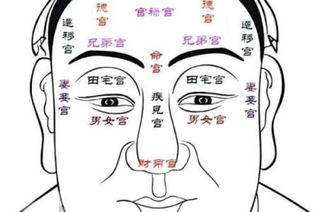 算命看面