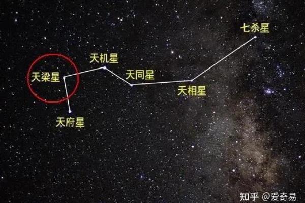 紫微斗数天梁化禄在哪个宫最好 天梁星化禄代表什么 紫微斗数天梁化禄在哪个宫最好 天梁星化禄代表什么