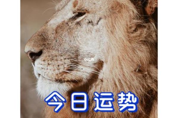 星座19年8月1日运势 星座19年8月1日运势