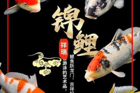 风水颜色_养鱼禁忌的颜色