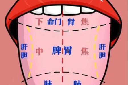 算命要防口舌是什么意思