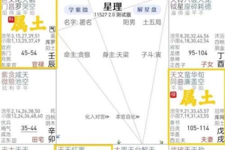 紫微斗数子午 紫微斗数子午卯酉四被动桃花？