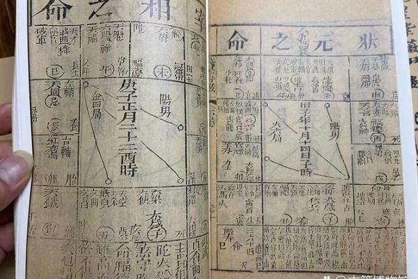 作家的紫薇斗数