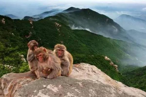 连云港算命最准的地方