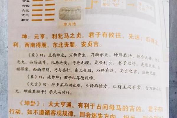 紫微斗数之八卦万物类象：坤卦详解