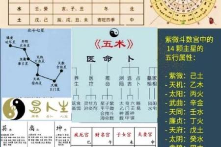 紫微斗数之各星曜所主行业：看流月流日流时发生的事情