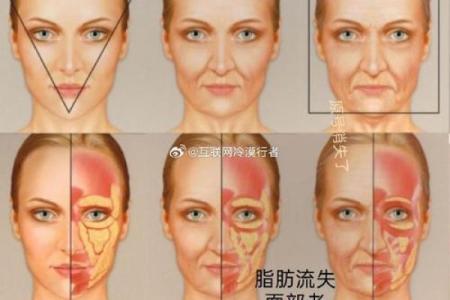 面部衰老八字图