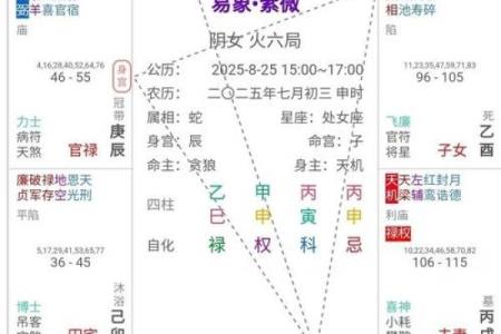 紫薇斗数事业宫在哪