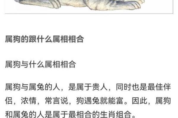 87兔和92猴的八字合不合