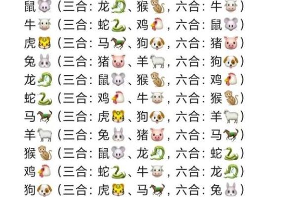 87兔和92猴的八字合不合