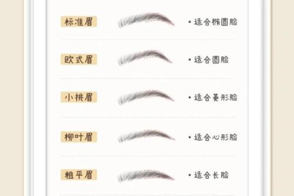 卧蚕眉面相算命图解