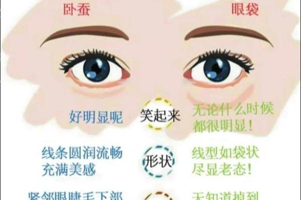 卧蚕眉面相算命图解