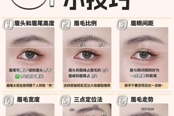 三角眉毛的面相算命图解 三角眉毛的面相算命图解