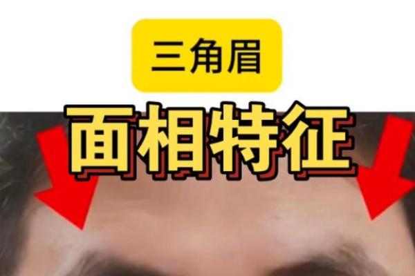 三角眉毛的面相算命图解 三角眉毛的面相算命图解