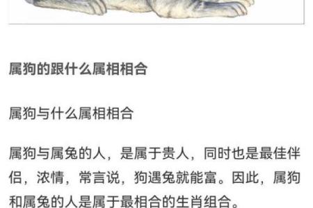 87兔和92猴的八字合不合