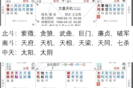 紫微斗数十四主星：紫微星概论