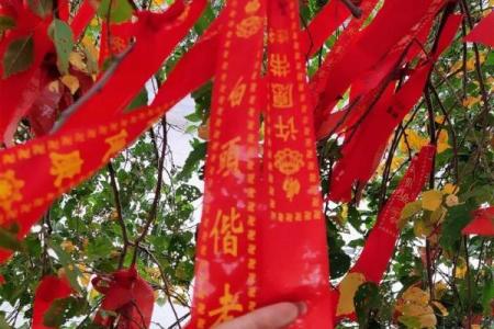 月老牵姻缘直播 月老牵红线自主婚恋平台？