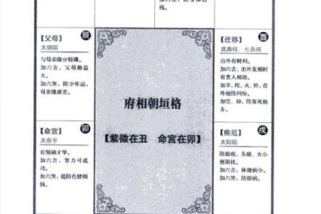 鬼谷子紫薇斗数