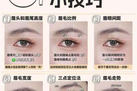 三角眉毛的面相算命图解