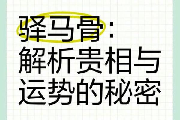 风水男人带驿马好不好什么意思 风水男人带驿马好不好什么意思