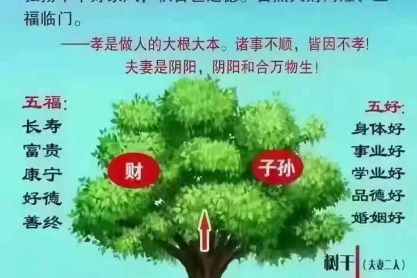 清明扫墓风水讲究 清明扫墓风水讲究