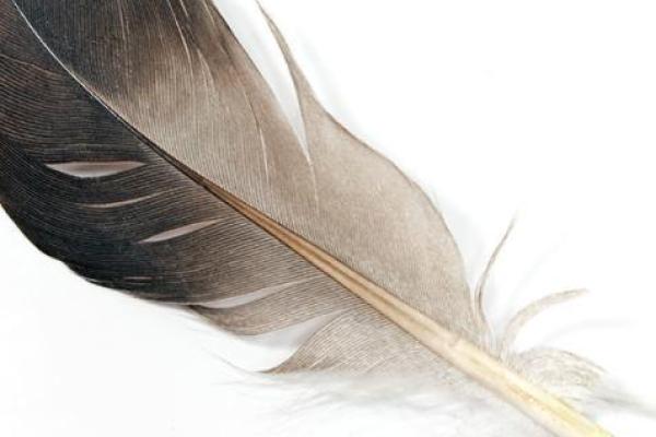 灵签占卜下半年收获