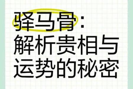 风水男人带驿马好不好什么意思