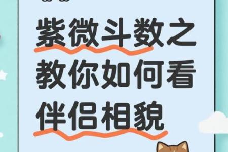 紫薇斗数看配偶样貌