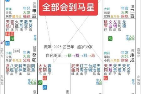 紫薇斗数流年怎么数