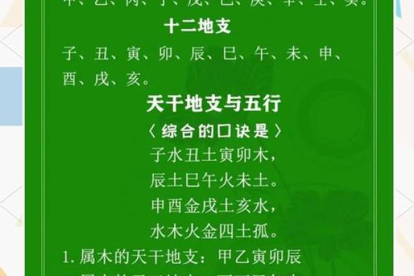 八字十二地支详解
