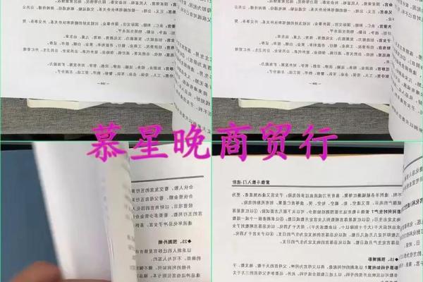 南北派紫薇斗数 南北派紫薇斗数