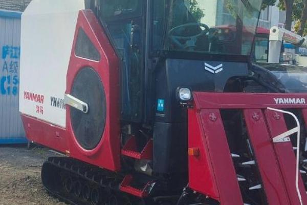 什么样的八字能成为鲜肉收割机