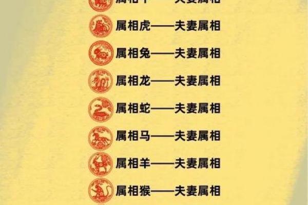 属鼠和属虎的八字合不合得来,属虎的跟属鼠的合财吗 属鼠和属虎的八字合不合得来,属虎的跟属鼠的合财吗