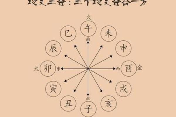 八字中地支半合局是什么意思