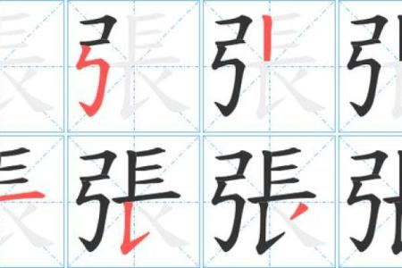 张的八字