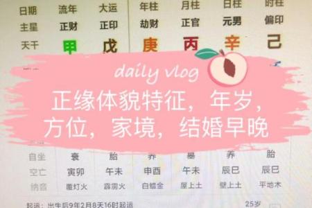 八字单项简批说明