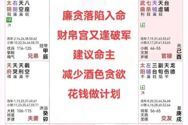 看紫薇斗数贪狼 看紫薇斗数贪狼