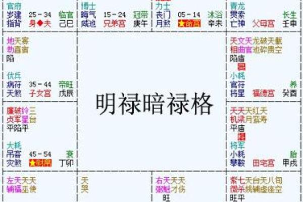 紫薇斗数养母养大 紫薇斗数养母养大
