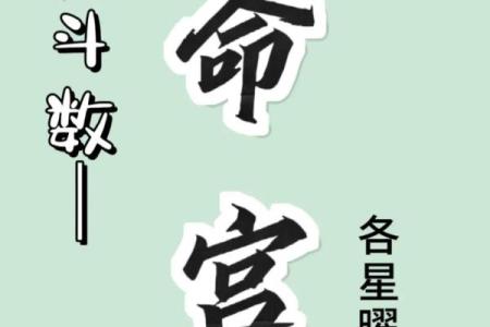 紫微斗数意外 紫微斗数意外伤害？