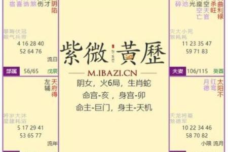 紫薇斗数怎么看流年