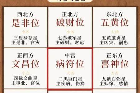 紫微排盘命财帛宫自化忌 财帛宫自化忌是什么意思