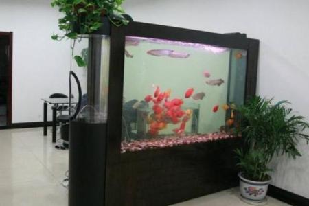 家居风水鱼缸的摆放 风水鱼养几条